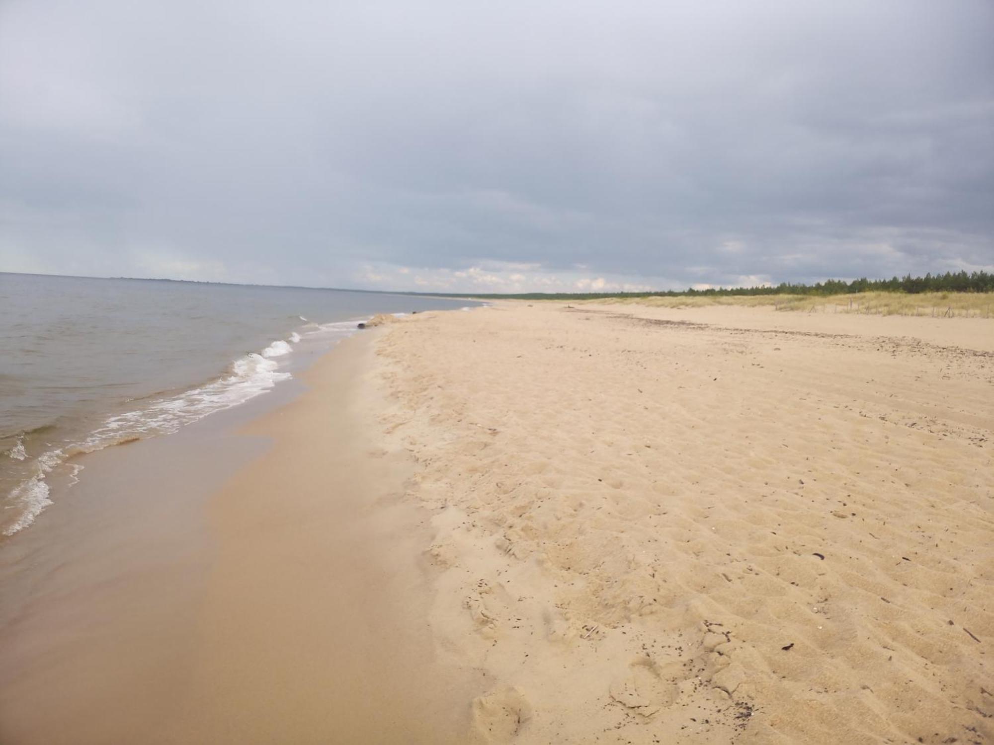 Pokoje Sobie Na Wyspie Gdańsk Kültér fotó